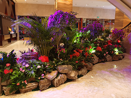 星級(jí)酒店租擺案例